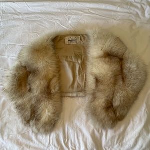 SAGA - Norwegian Blue Fox